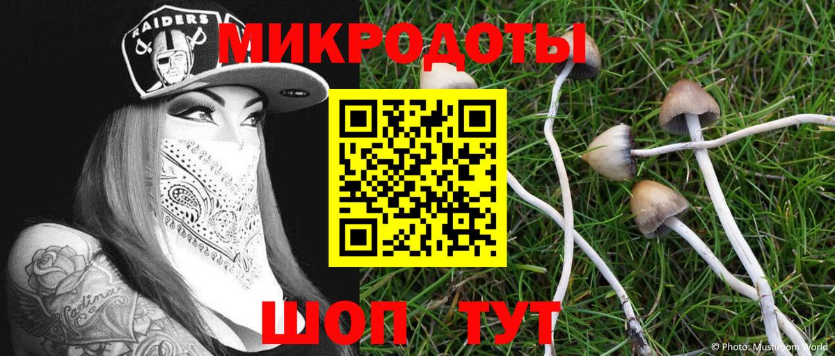 Галлюциногенные грибы прущие грибы  Вход с VPN  Заволжье 